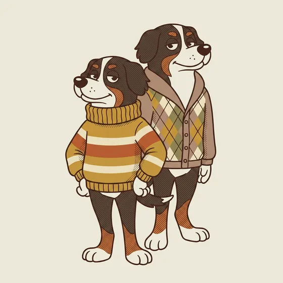 The Knitwear
