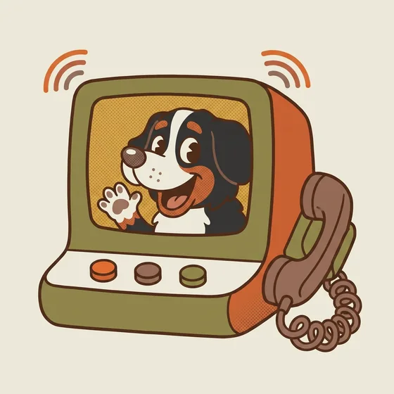 The Picturephone