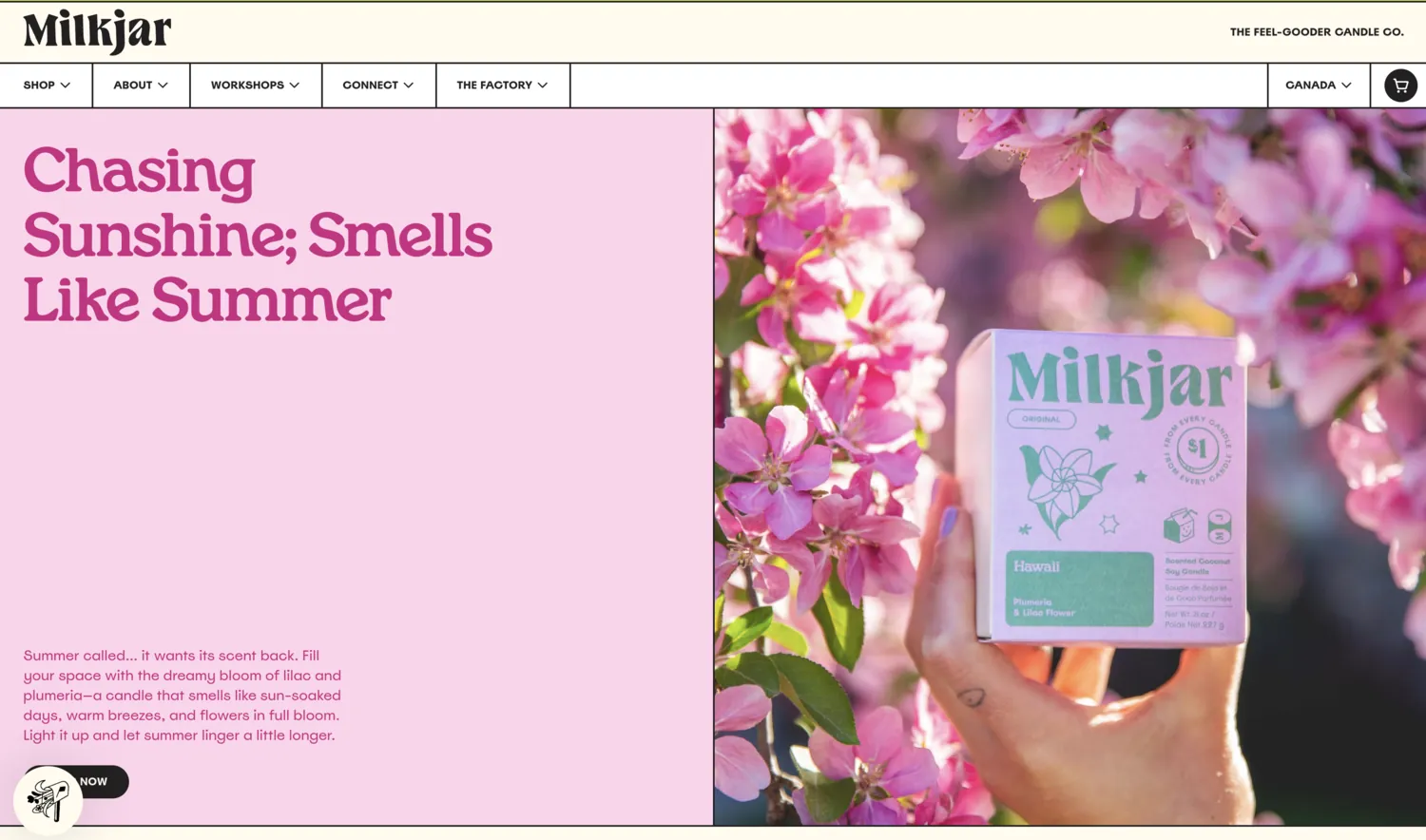 A homepage built for a retail client