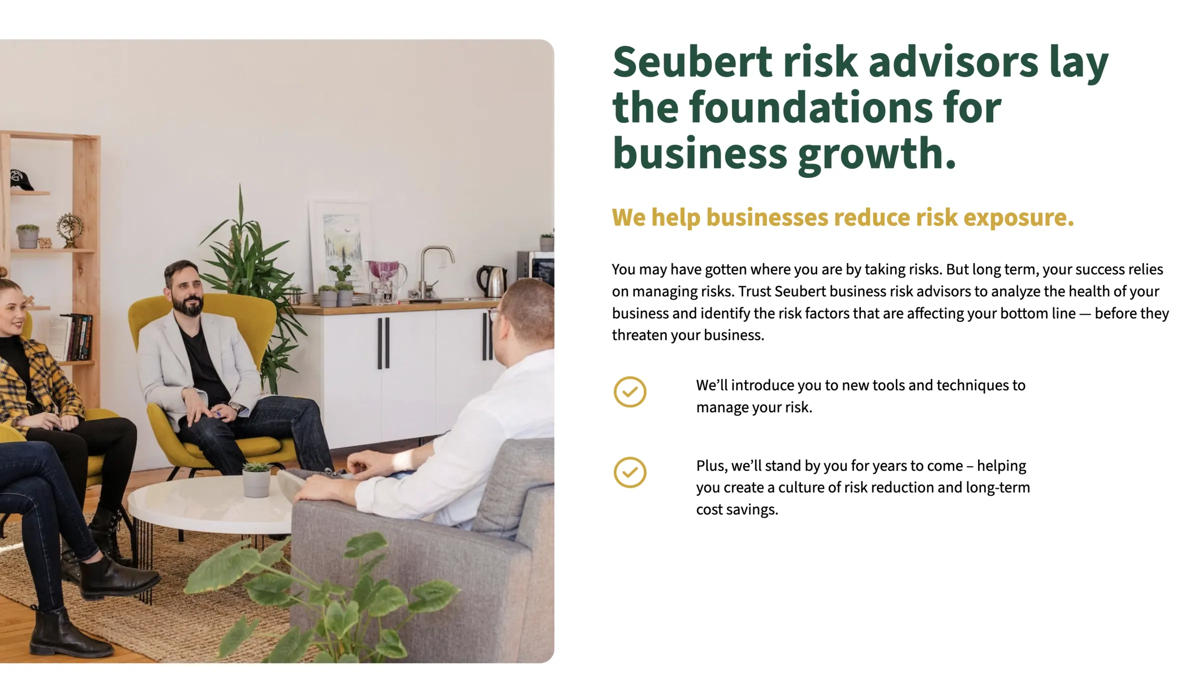 “Seubert risk advisors lay the foundations for business growth” — the opening block under the homepage hero.